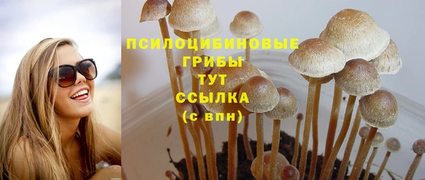 твердый Костерёво