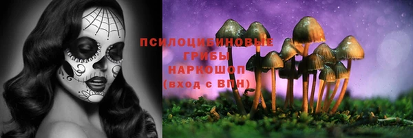 mix Корсаков
