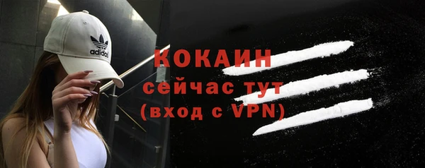 твердый Костерёво