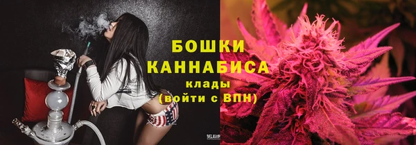 твердый Костерёво