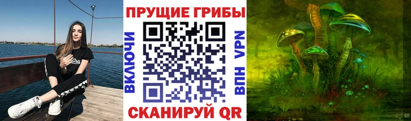 Купить где  Северск  Галлюциногенные грибы ЛСД 